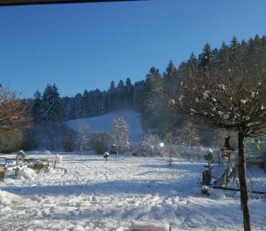 Chaux-des-Crotenay Apartment | Pont de la Chaux