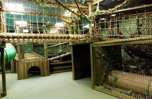 Brean Resort | Pontins - Brean Sands Holiday Park