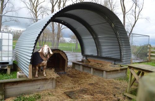 Matamata Bed & Breakfast | Poplar Creek