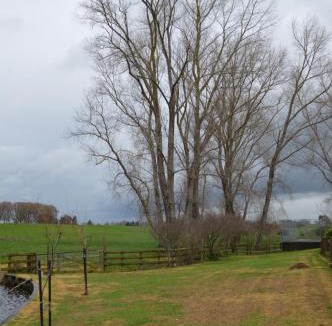 Matamata Bed & Breakfast | Poplar Creek