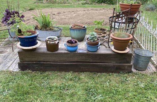 Orgeval Apartment | poppies 1