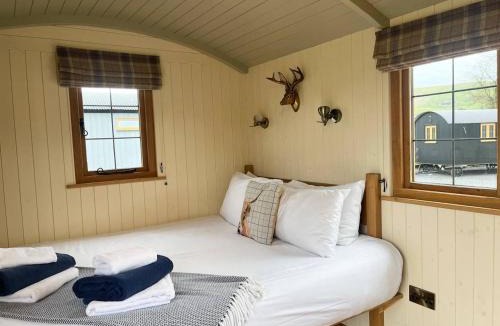 St Harmon House | Poppy