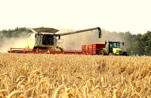 Bourton Other | Poppy Glamping Pod