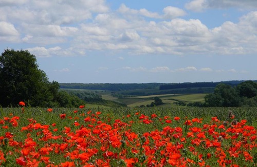 Bourton Other | Poppy Glamping Pod