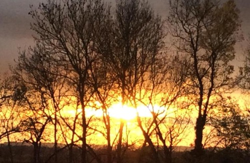 Breville House | Poppy's Retreat