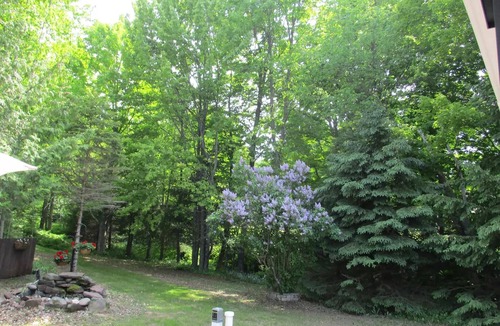 Silver City House | Porcupine Mountains-closest Vrbo to the Porkies! nAcross road from Lake Superior