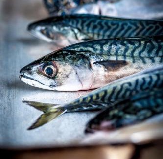 Port Gaverne Hotel | Port Gaverne Hotel