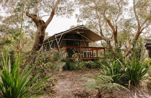 One Mile Resort | Port Stephens Koala Sanctuary