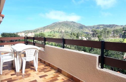 Port-Vendres Apartment | Port-Vendres : T2 avec terrasse et parking - FR-1-309-215