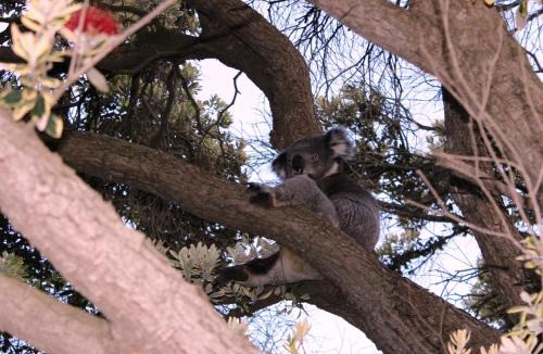 Portland Hotel | Portland Retro Motel