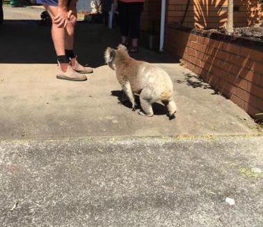 Portland Hotel | Portland Retro Motel