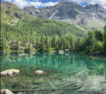 Poschiavo Apartment | Poschiavo Maiensäss auf 1400m