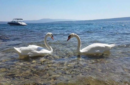 Posedarje Apartment | Posedarje Zadar