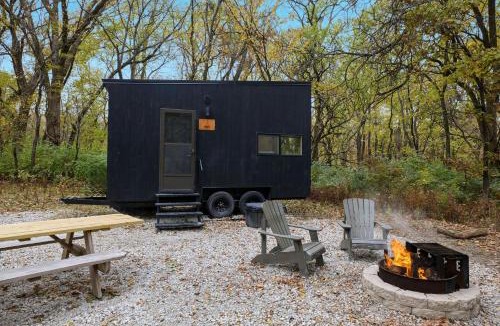 Larue Other | Postcard Cabins Piney Woods, Outdoor Collection by Marriott Bonvoy