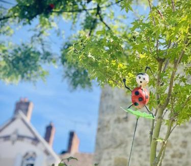 Egreville Apartment | Poule Noire Ukraine