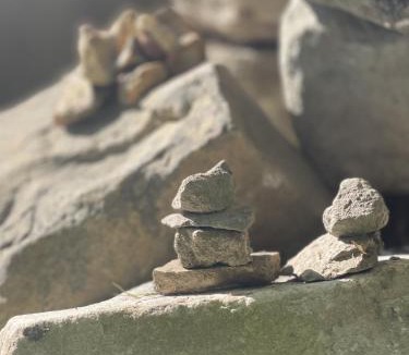 Egreville Apartment | Poule Noire Ukraine