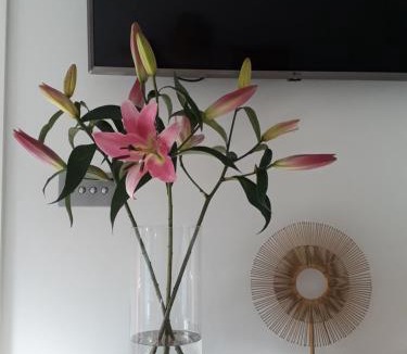 East Meon Bed & Breakfast | Pound Orchard Bed and Breakfast