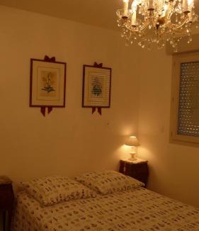 Saint-Jean-de-Braye Apartment | Pour visiter ou travailler dans le LOIRET