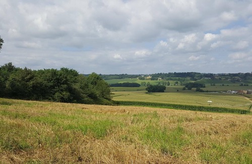 Bats House | Pourquoi Pas - Bats - Gîte