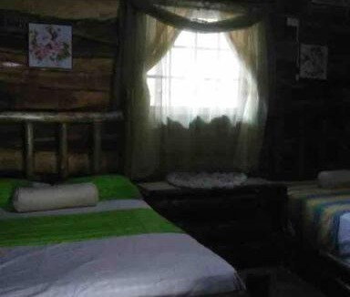 Pedro Brand House | Power Ranch Finca Ecológica