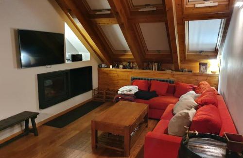 Alt Aneu Apartment | Precioso ático Esterri Aneu
