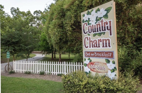 Breaux Bridge House | Precious Past Rental (1st Floor) on Private Pond at Country Charm B&B