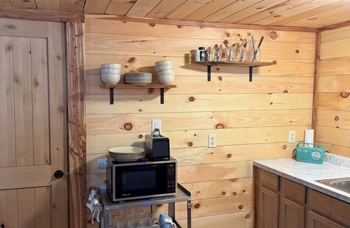Lindside Cabin | Prehistoric Cabin on the Creek!