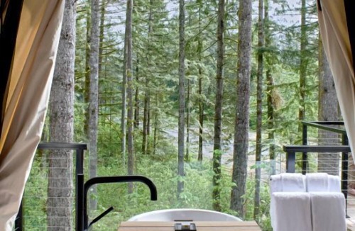 Stevenson House | Premier Glamping Getaway | King Bed + Soaking Tub