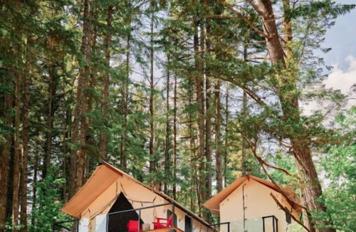 Stevenson House | Premier Glamping Getaway | King Bed + Soaking Tub