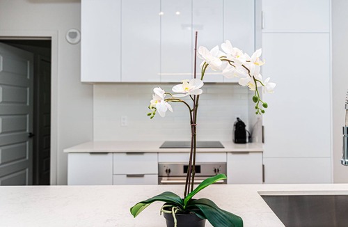 Griffintown Apartment | Premium - City Views