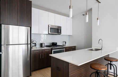 Downtown Chicago Apartment | Premium Loop 1BR w/Roof, Gym & Lounge, nr Riverwalk, by Blueground