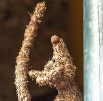 Pance Bed & Breakfast | Presbytère de Pancé