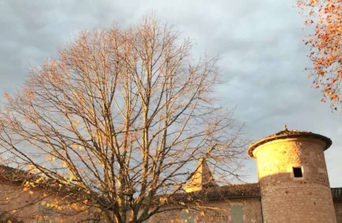 Castelnau-de-Montmiral Apartment | Prestige flat in a 17th century castle - PRM