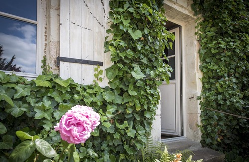 Chenehutte-Treves-Cunault House | pretty 18th century gite, bord de loire 10 km from SAUMUR