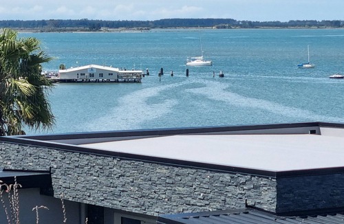 Omokoroa House | Pretty as a Picture