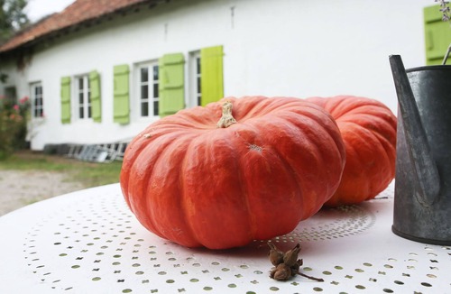 Attin House | Pretty house between sea and countryside