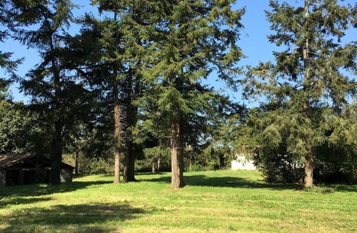 Avrille House | Pretty house in a nice park