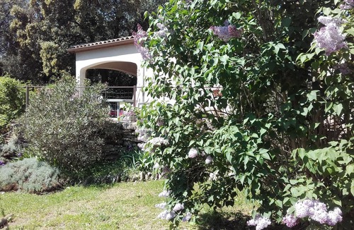 Junas House | Pretty Mas in the green