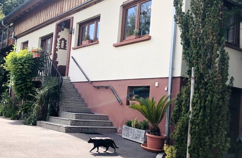 Bischwiller House | Pretty, spacious gite surrounded by greenery