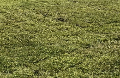 Pittsburg House | **PRIME AVAILABILITY TRAILSIDE LODGE PITTSBURG DIRECT TRAIL ACCESS