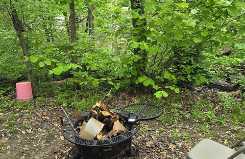 Winamac Cabin | PRIMITIVE CABIN #2 in Winamac