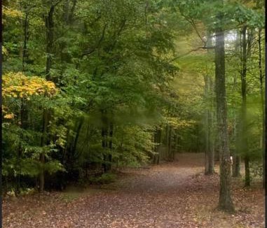 Wellsboro House | Primitive Camp Sites