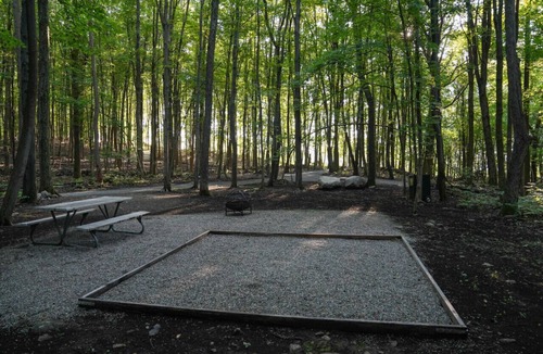 Vernon RV Rental | Primitive Camping Site