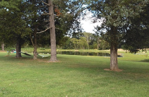 West Frankfort RV Rental | Primitive campsites, pond, wildlife, campfires