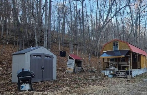 Great Cacapon Cabin | Primitive Cozy Tiny Cabin with Starlink internet