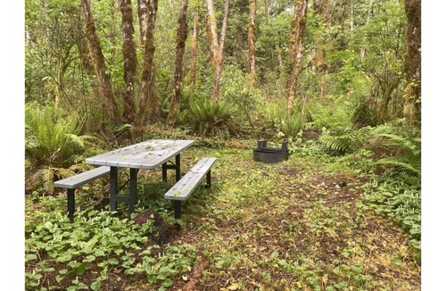 Forks RV Rental | Primitive Tent Site #15- Beautiful Forested Property