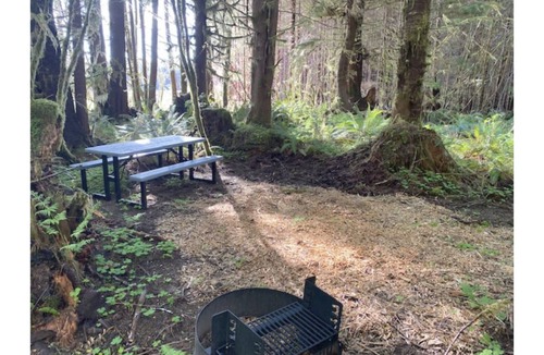 Forks RV Rental | Primitive Tent Site #5- Beautiful Forested Property