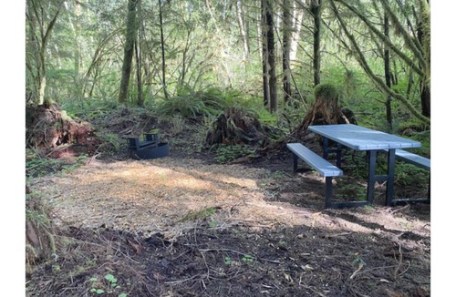 Forks RV Rental | Primitive Tent Site #5- Beautiful Forested Property