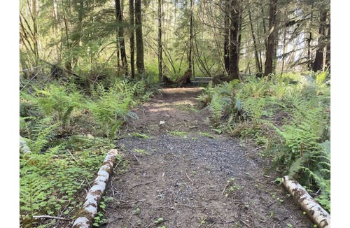 Forks RV Rental | Primitive Tent Site #5- Beautiful Forested Property