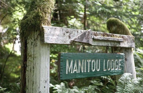 Forks RV Rental | Primitive Tent Site #5- Beautiful Forested Property